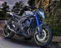 34447-Pin-Striping-Racing-neongelb-A2.jpg