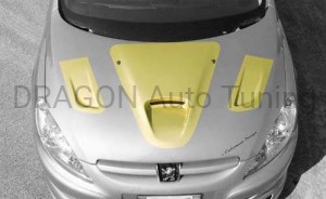 Zestaw MARANELLO EVOLUZIONE do modyfikacji pokrywy silnika Peugeot 307 01-05