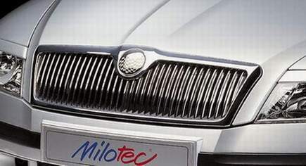 41105097.jpg