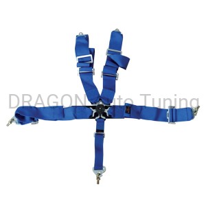 5 point 3" safe belts FIA - black