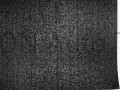 43106757.jpg