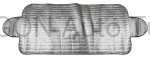 Winter windshield cover (1)